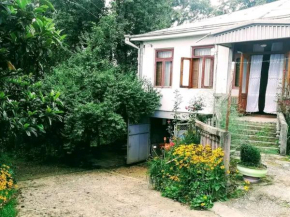 Jemali Mikeladze